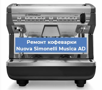Чистка кофемашины Nuova Simonelli Musica AD от накипи в Челябинске